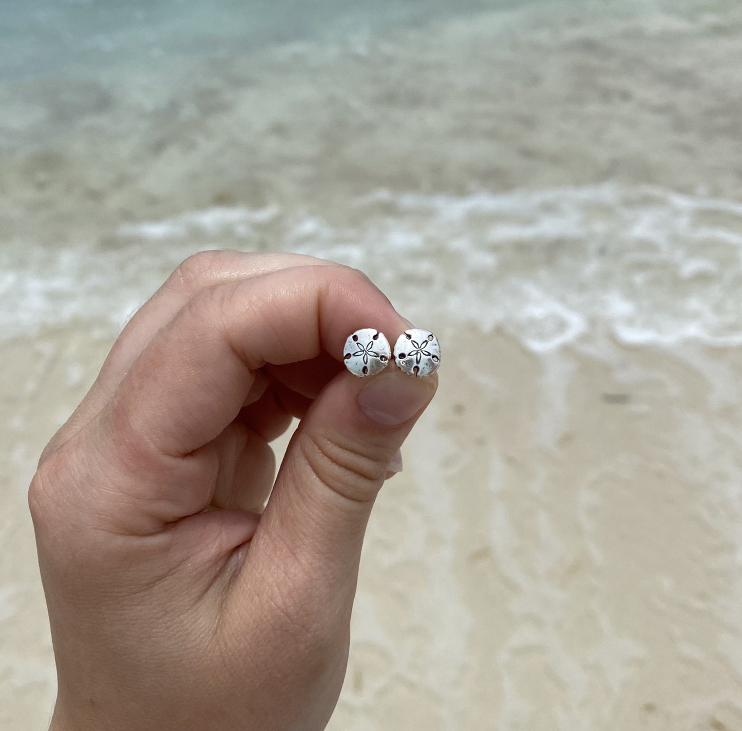 Sterling Silver Sand Dollar Earrings image 2