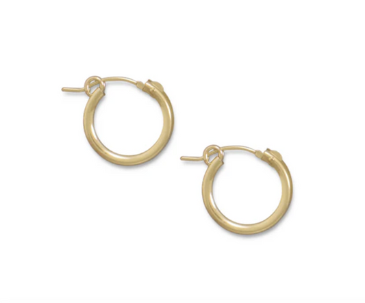 Gold Filled Hoop Earrings