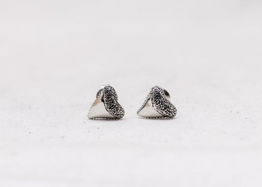 Shark Tooth Earrings