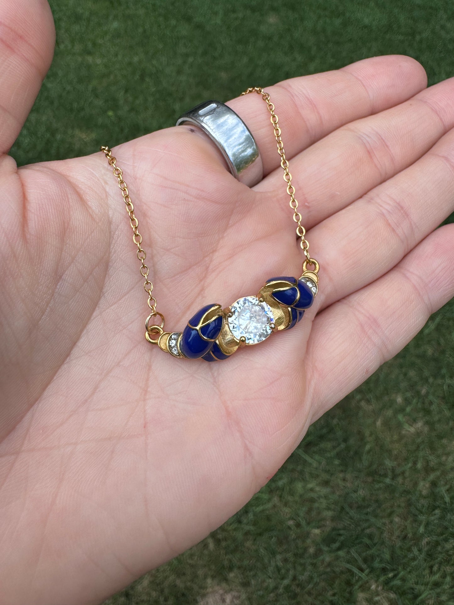 Blue Lobster Bundle
